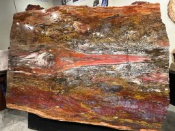 Designation: Petrified Wood, The Knotty Board Table Slab 5   A Portrait of Resilience: The Araucarioxylon Masterpiece.